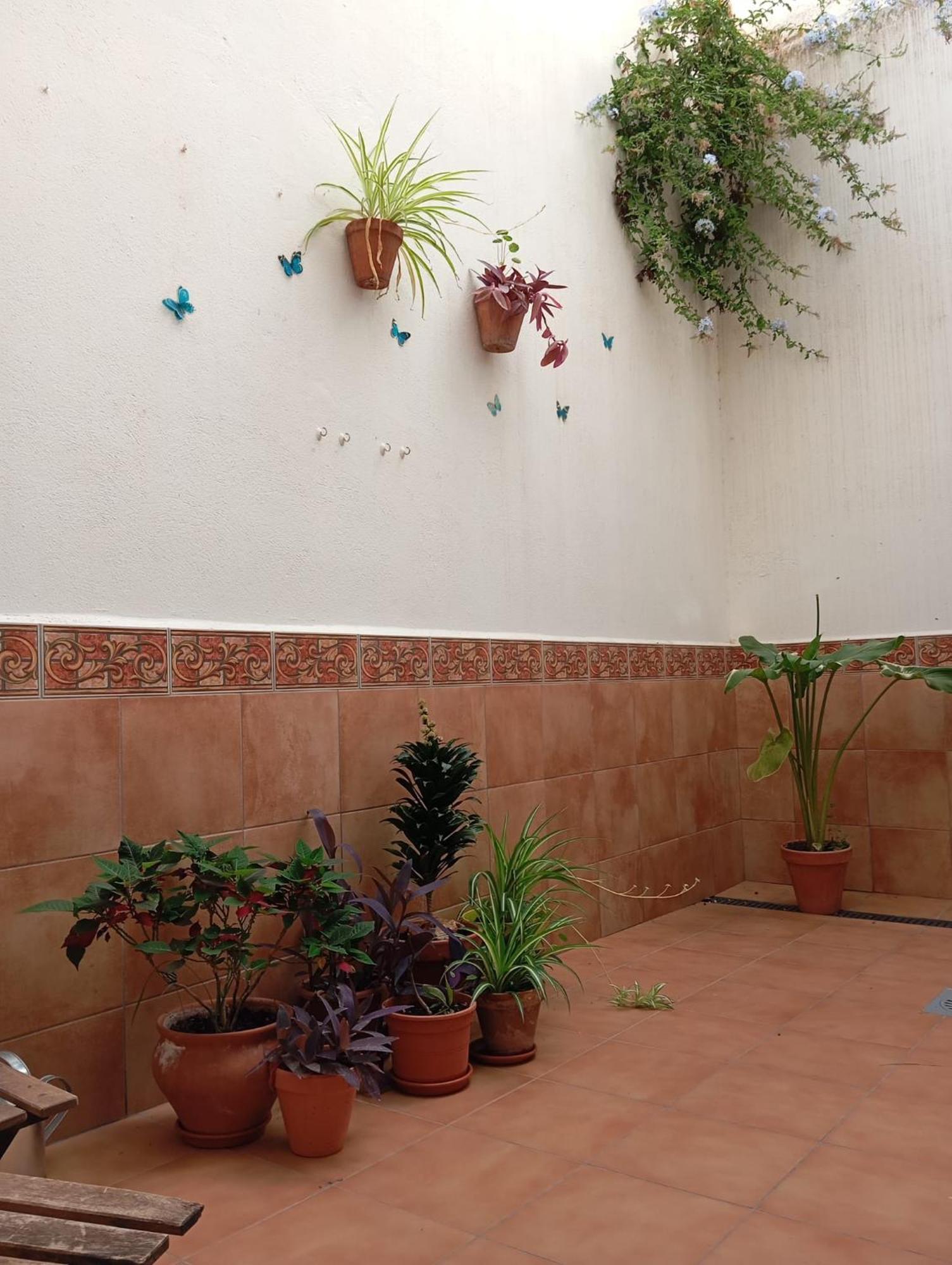 Apartamento Amapola Malaga Zewnętrze zdjęcie